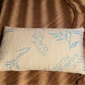 Cool Bamboo Memory Foam Queen Pillow with green cover. 18 x 26 NWT